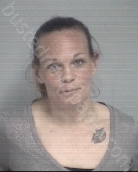 HENDERSON, JOANNA LYNN #, Davidson County, North Carolina - 2023-02-19