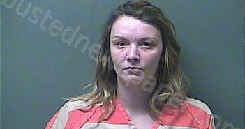 FLETCHER, SYDNEY GAYLE ANN | 2023-02-20 19:41:00 Laporte County, Indiana, La Porte County, Indiana Booking