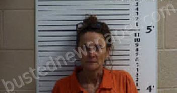 WILCOX, ELLEN DOCKERY | 2023-02-20 09:29:00 Cherokee County, North Carolina Booking