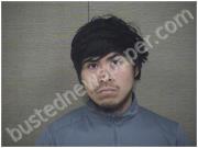 HERNANDEZ, PEDRO | 2023-02-20 Harnett County, North Carolina Booking