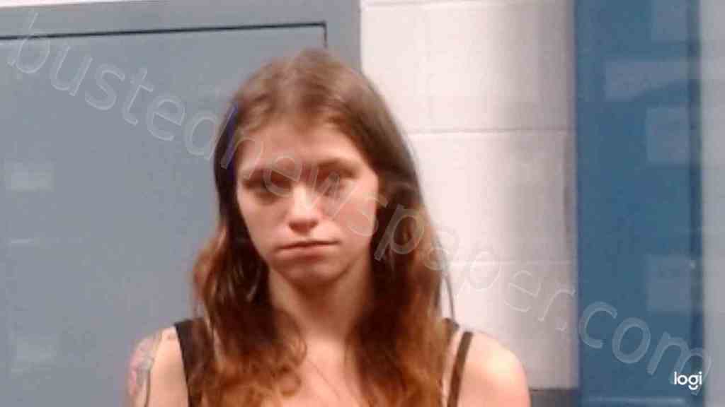 FORTNEY, SARAH JEAN #, Kanawha County, West Virginia - 2023-02-20 02:30:00