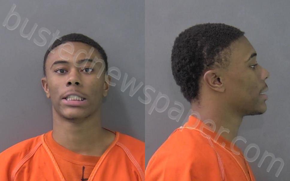 THOMPSON, BRADLEY EARL JUNIOR #, Bell County, Texas - 2023-02-24 02:36:00