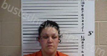 SHOOK, BROOKLYN CIARA | 2023-02-24 15:20:00 Cherokee County, North Carolina Booking