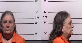HARRIS, LYNN ELIZABETH | 2023-02-25 Gillespie County, Texas Booking