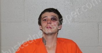 <B>JEREMIAH</B> <B>MICHAEL</B> <B>REINKE</B> #, Benton County, Missouri - 2023-02-26 18:36:00