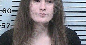 SAMANIEGO, VALINDA DIANE | 2023-02-27 23:49:29 Hood County, Texas Booking