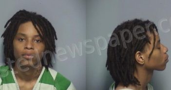 HAMPTON, RAE’ONA NASHAE | 2023-02-27 Roanoke County, Virginia Booking