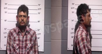 MIER-VALLES, JORGE | 2023-03-01 Gillespie County, Texas Booking
