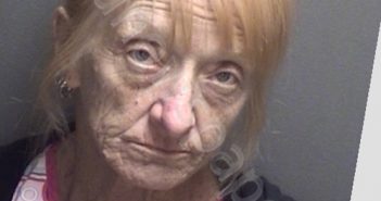 FOWLER,GAIL LYNNE | 2023-03-02 Freestone County, Texas Booking