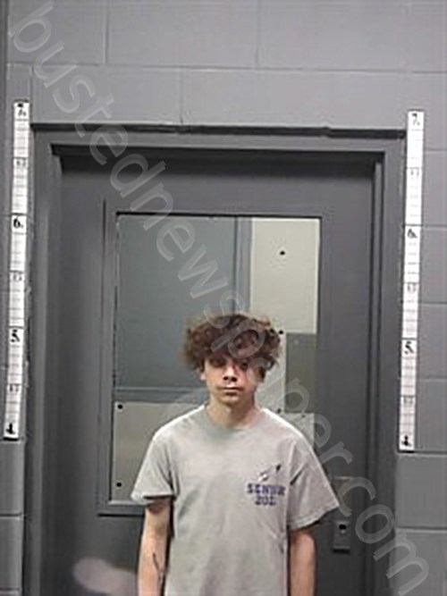 COWELL, AUSTIN #, Johnson County, Arkansas - 2023-03-02 14:50:00