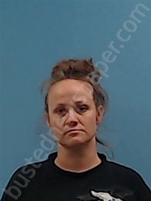 TERRELL-NYE, AMANDA CORRINE #, Boone County, Arkansas - 2023-03-03 10:33:00