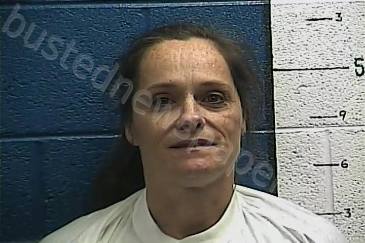 STURGILL, SANDRA F #, Rockcastle County, Kentucky - 2023-03-03 20:21:00
