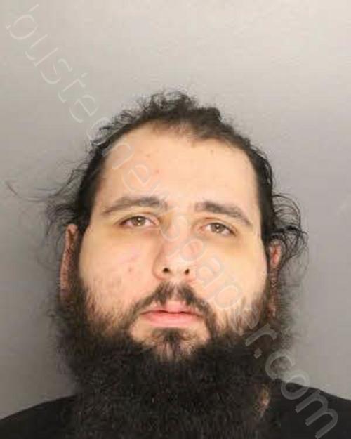 PIKE, ROBERT JAMES MATTEW #, Berkeley County, South Carolina - 2023-03-03 22:05:00
