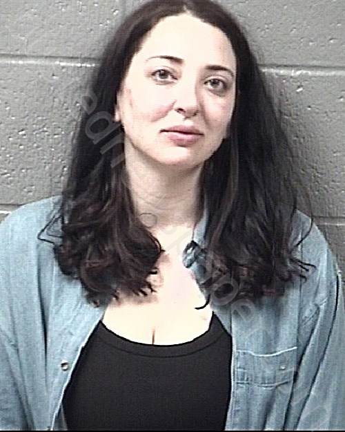 NELSON, KATHERINE ALANA #, Stanly County, North Carolina - 2023-03-03 01:08:00