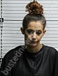 SULLIVAN, AMBER LYNN #, Brunswick County, North Carolina - 2023-03-03