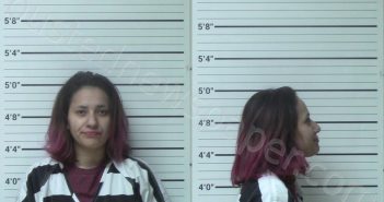 ESPARZA, ELIZA DANIELLE | 2023-03-03 Kerr County, Texas Booking