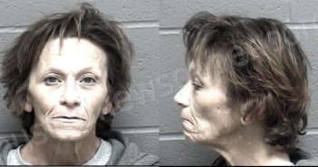 FERGUSON, MELISSA LYNN | 2023-03-03 23:17:00 Crawford County, Kansas Booking