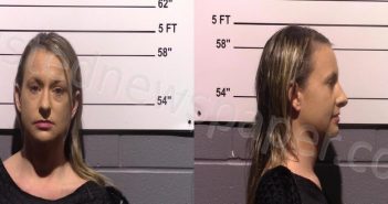 TRUJILLO, APRIL ELIZABETH | 2023-03-06 Gillespie County, Texas Booking