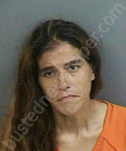 WEBSTER,MONICA LYNNE | 2023-03-07 Collier County, Florida Booking