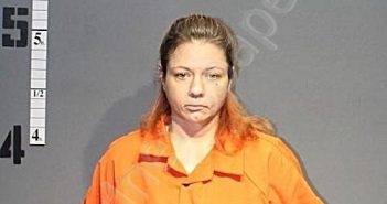 BLYTHE, JENNIFER ANN | 2023-03-07 15:20:00 Western Tidewater, Virginia Booking