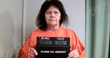 DOTSON, TERESA KAY | 2023-03-08 14:20:00 Clark County, Missouri Booking