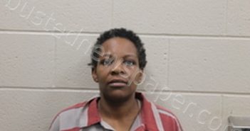 CHRISTINA ANN JONES | 2023-03-08 08:40:00 Andrew County, Missouri Booking