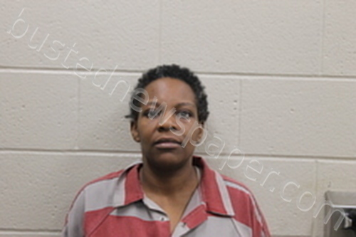 CHRISTINA ANN JONES #, Andrew County, Missouri - 2023-03-08 08:40:00