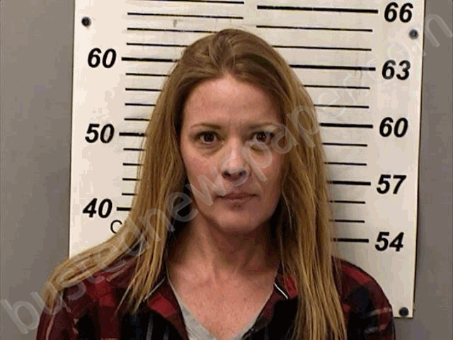 KOENIG, ANGELA DAWN #, Henry County, Ohio - 2023-03-08 03:50:00