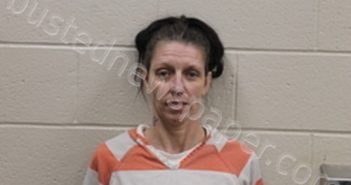 DEDRA RANAE JENSEN | 2023-03-08 08:35:00 Andrew County, Missouri Booking