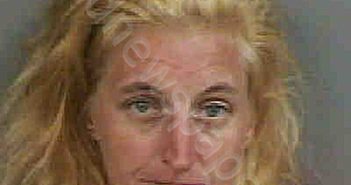 <B>MINCHER</B>,<B>KAILIN</B> ELIZABETH #, Collier County, Florida - 2023-03-09