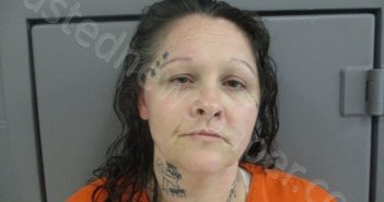 HITT, AMANDA LEE | 2023-03-09 16:00:00 Harrison County, West Virginia Booking