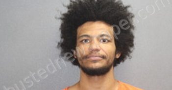 DAMIAN DEE SCHMIDT | 2023-03-09 19:26:00 Labette County, Kansas Booking