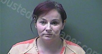 <B>MEADOWS</B>, <B>JESSICA</B> A #, Laporte County, Indiana, La Porte County, Indiana - 2023-03-10 01:50:00