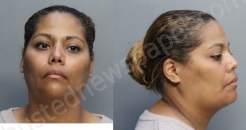 ALVAREZ, BETHSAIDA | 2023-03-10 23:22:00 Miami-Dade County, Florida Booking