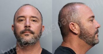 HERNANDEZ, NELSON | 2023-03-10 22:17:00 Miami-Dade County, Florida Booking