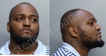 PALMER, RAINMAJESTY CHRISTOPHER | 2023-03-11 02:42:00 Miami-Dade County, Florida Booking