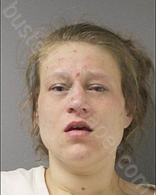 WILLIAMS, ASHLEY M #, St Lawrence County, New York - 2023-03-11 04:33:00