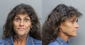 ABREU, DANIA BELKYS | 2023-03-11 00:01:00 Miami-Dade County, Florida Booking