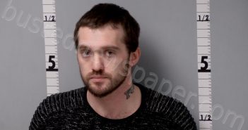 <B>RISLEY</B>, <B>KRISTOPHER</B> <B>MICHAEL</B> #, Gratiot County, Michigan - 2023-03-11 02:37:00