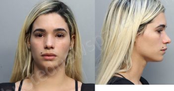 SILVERIO, MIRIANNIS | 2023-03-11 04:16:00 Miami-Dade County, Florida Booking