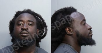 GILYARD, DAVID MORRIS | 2023-03-11 04:33:00 Miami-Dade County, Florida Booking