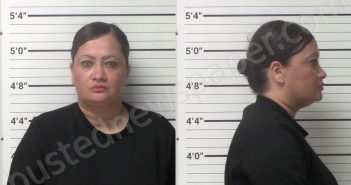 CEDILLO, SARAH | 2023-03-11 Kerr County, Texas Booking