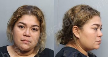 GARCIA-ARAUZ, AMY YALINA | 2023-03-11 01:04:00 Miami-Dade County, Florida Booking