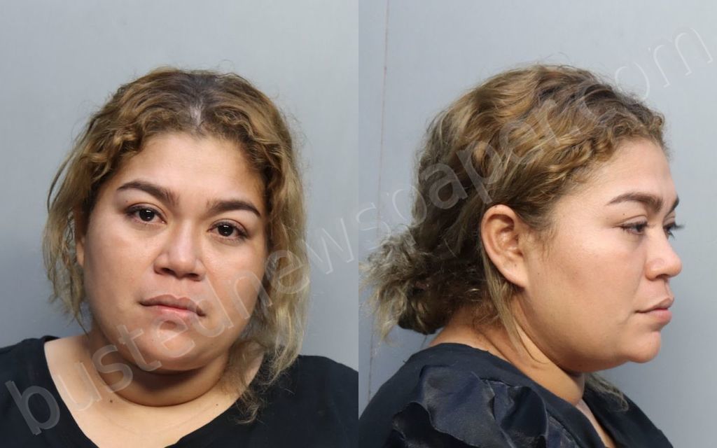 GARCIA-ARAUZ, AMY YALINA #, Miami-Dade County, Florida - 2023-03-11 01:04:00