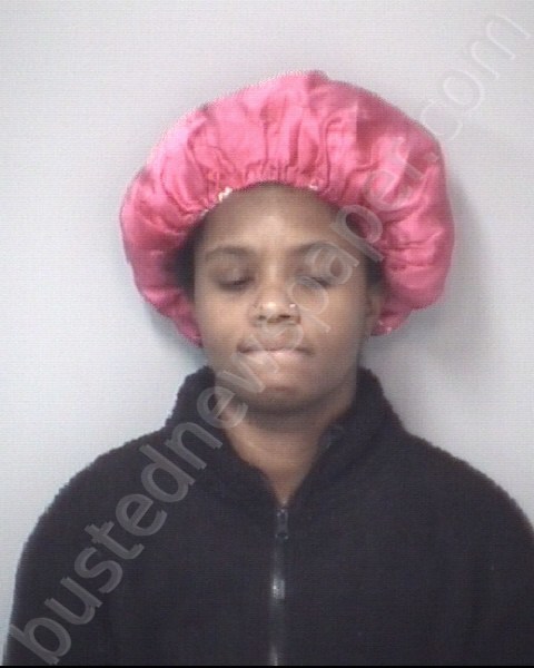 BADGER, JAMIA MICHELLE #, Davidson County, North Carolina - 2023-03-12 20:22:00