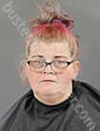 SIMMONS, DELANA FAITH #, Anderson County, South Carolina - 2023-03-12