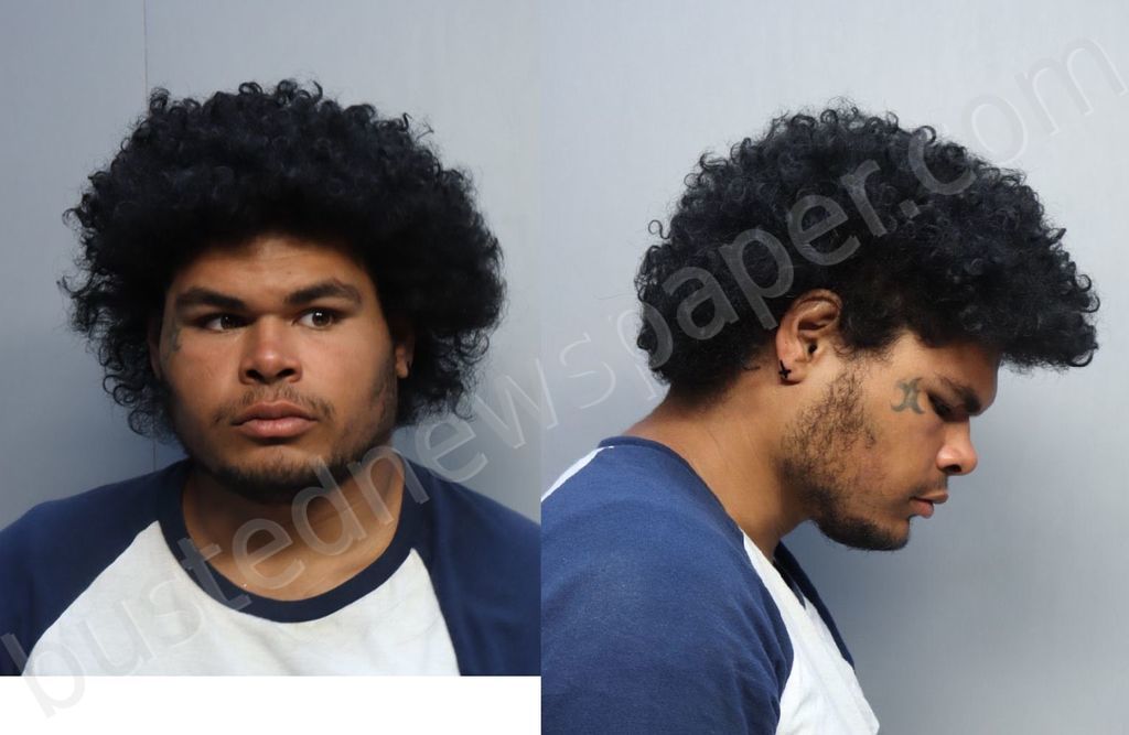 RICARDO, STEPHEN #, Miami-Dade County, Florida - 2023-03-13 06:05:00