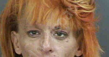 <B>VAUPEL</B>,<B>ALISON</B> <B>JEANNETTE</B> #, Collier County, Florida - 2023-03-14