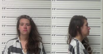 JORDAN, MAEGAN LANETTE | 2023-03-15 Kerr County, Texas Booking