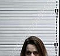 <B>SULLIVAN</B>, <B>AMBER</B> <B>LYNN</B> #, Brunswick County, North Carolina - 2023-03-16